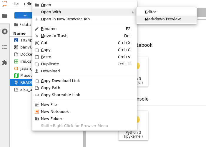 ../_images/file-formats-open-with.png