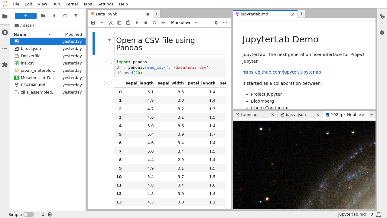 A screenshot of the default JupyterLab interface. The main work area is in the middle. There is also a left sidebar and a top menu bar.